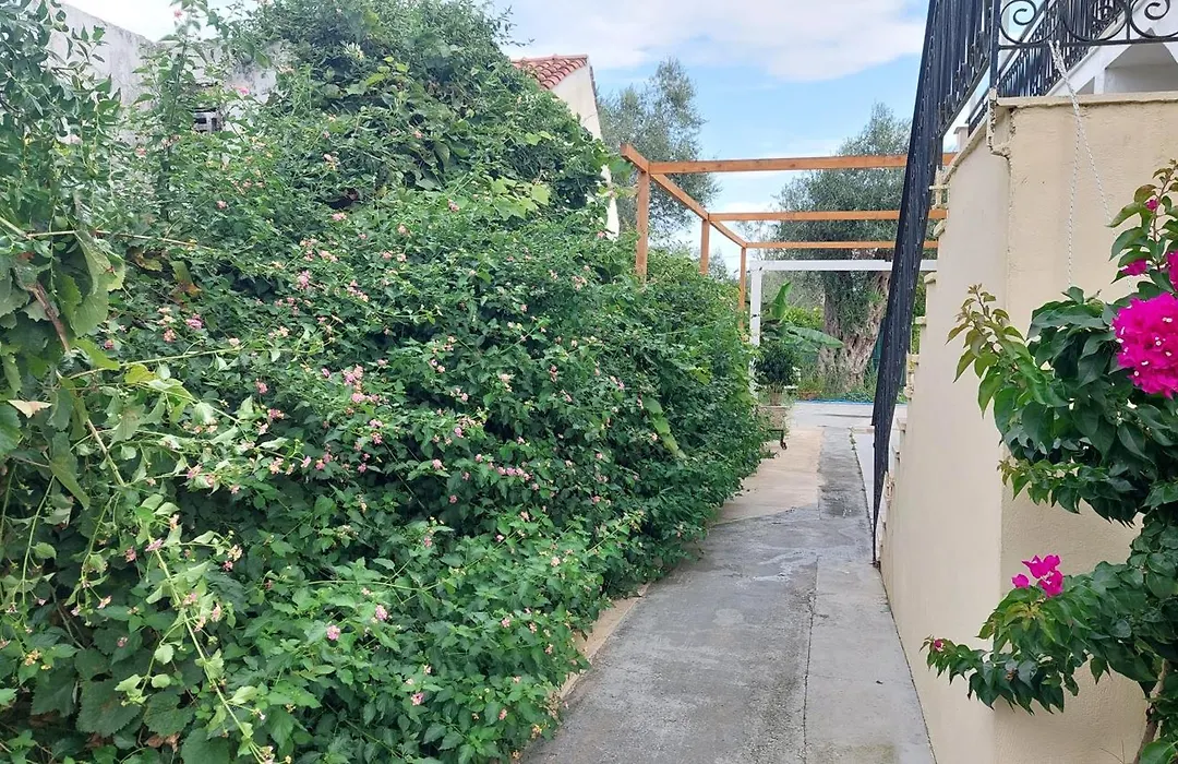 Amelia'S Garden-1