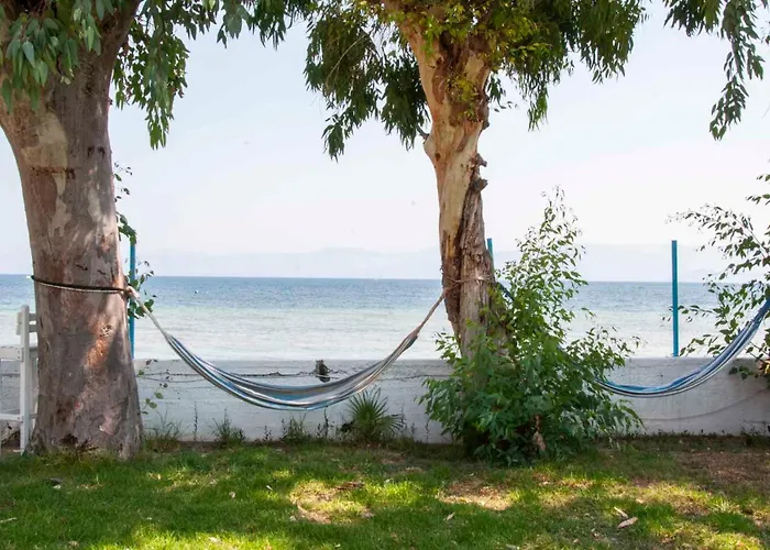 Kavos Pet friendly Vacation Rentals