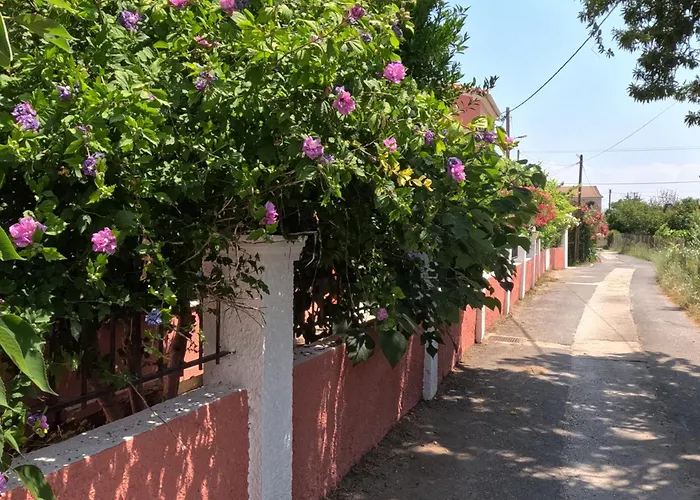 Antigoni Apartments Acharavi 