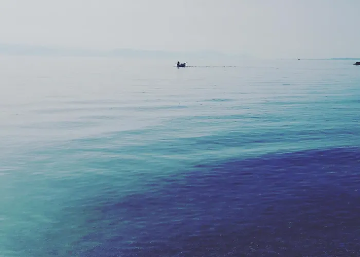 Hotel con animali ammessi a Corfù